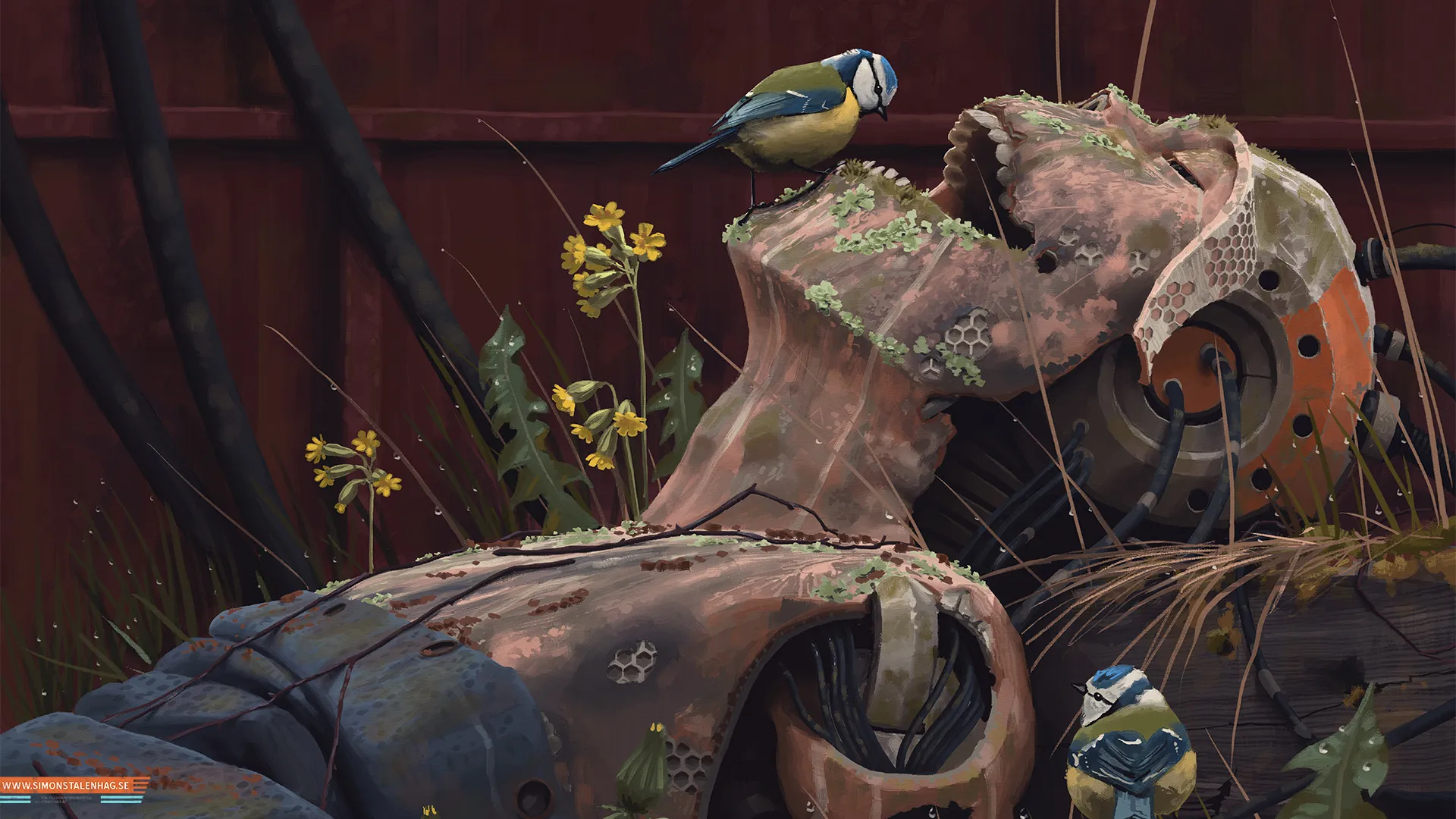 birds_perching_on_robot_head.jpg
