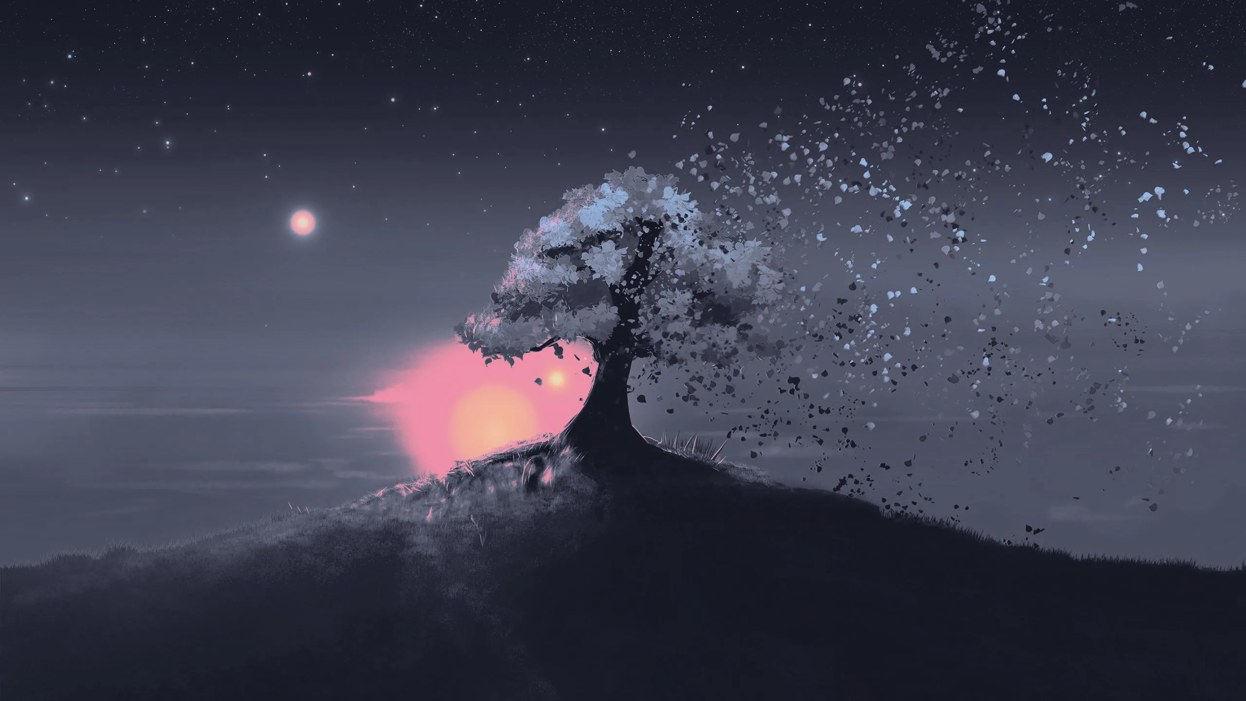 blooming_tree_shedding_petals.jpg