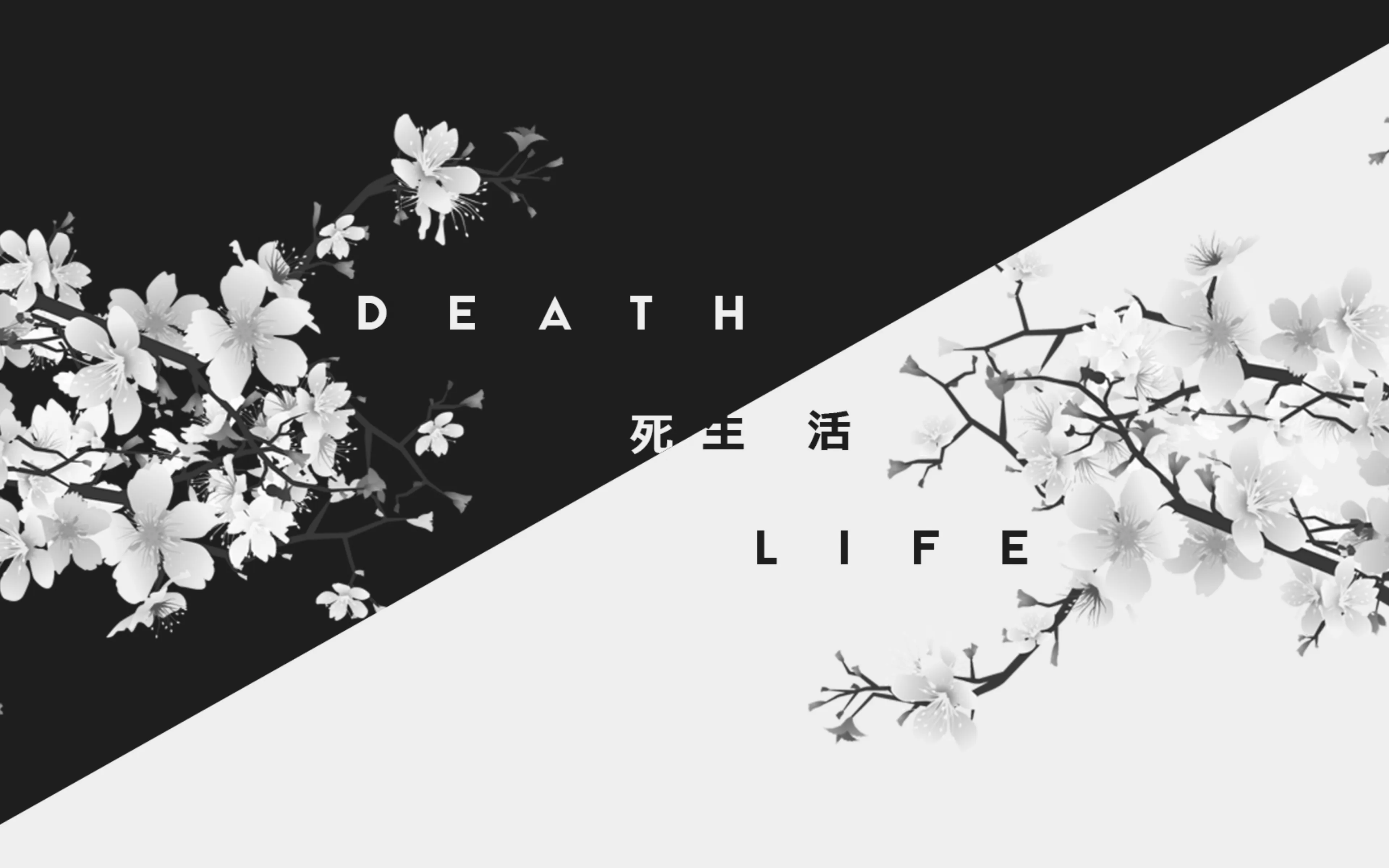 cherry_blossoms_death_life_typography.jpg