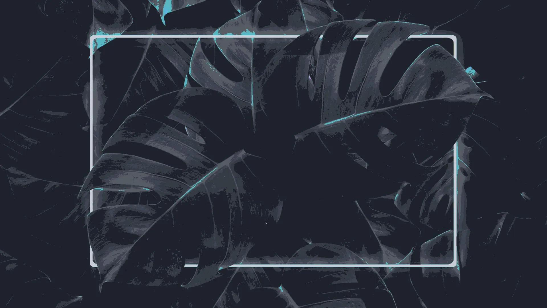dark_teal_monstera_leaves.jpg