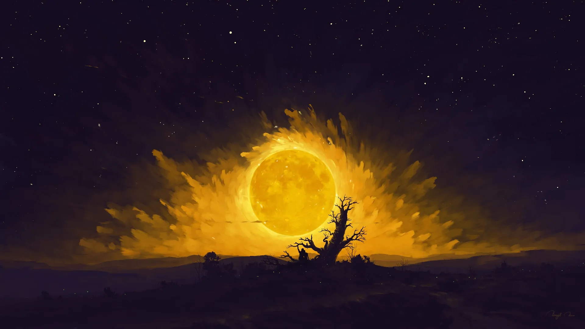 dead_tree_gazing_at_golden_sun.jpg