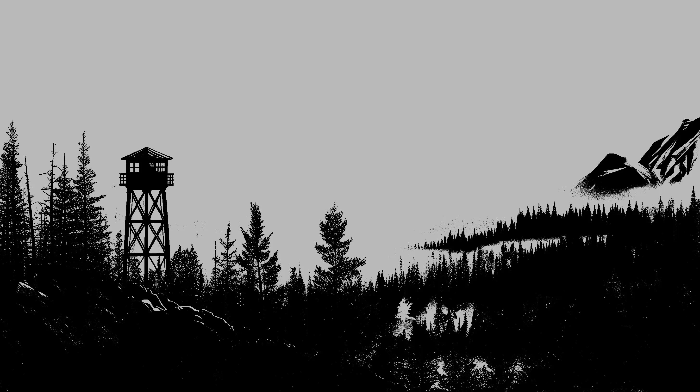 fire_lookout_tower_in_forest.jpg