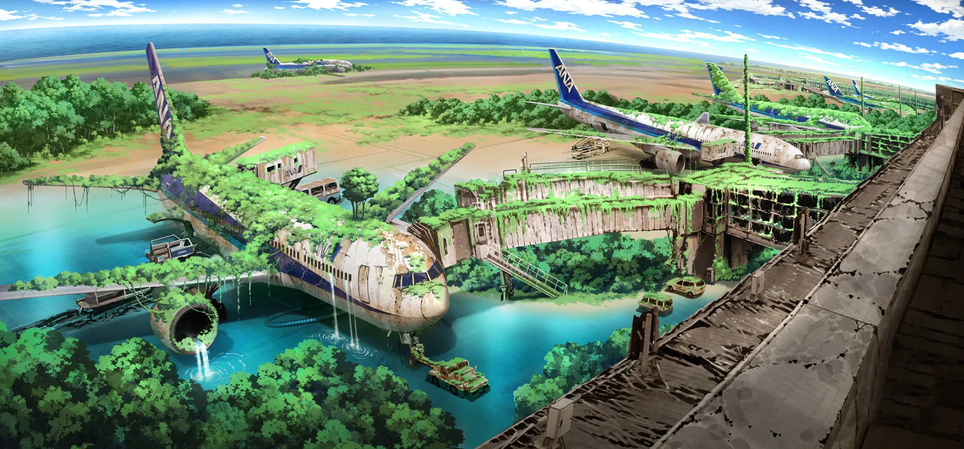 overgrown_abandoned_airplanes.jpg