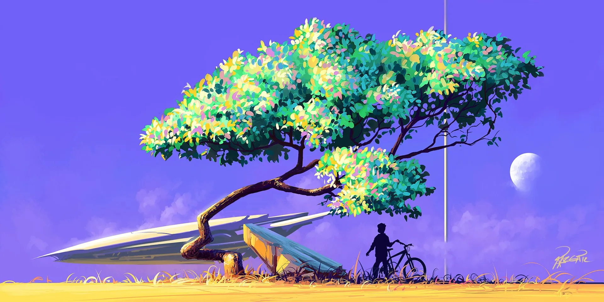 person_with_bike_under_tree.jpg