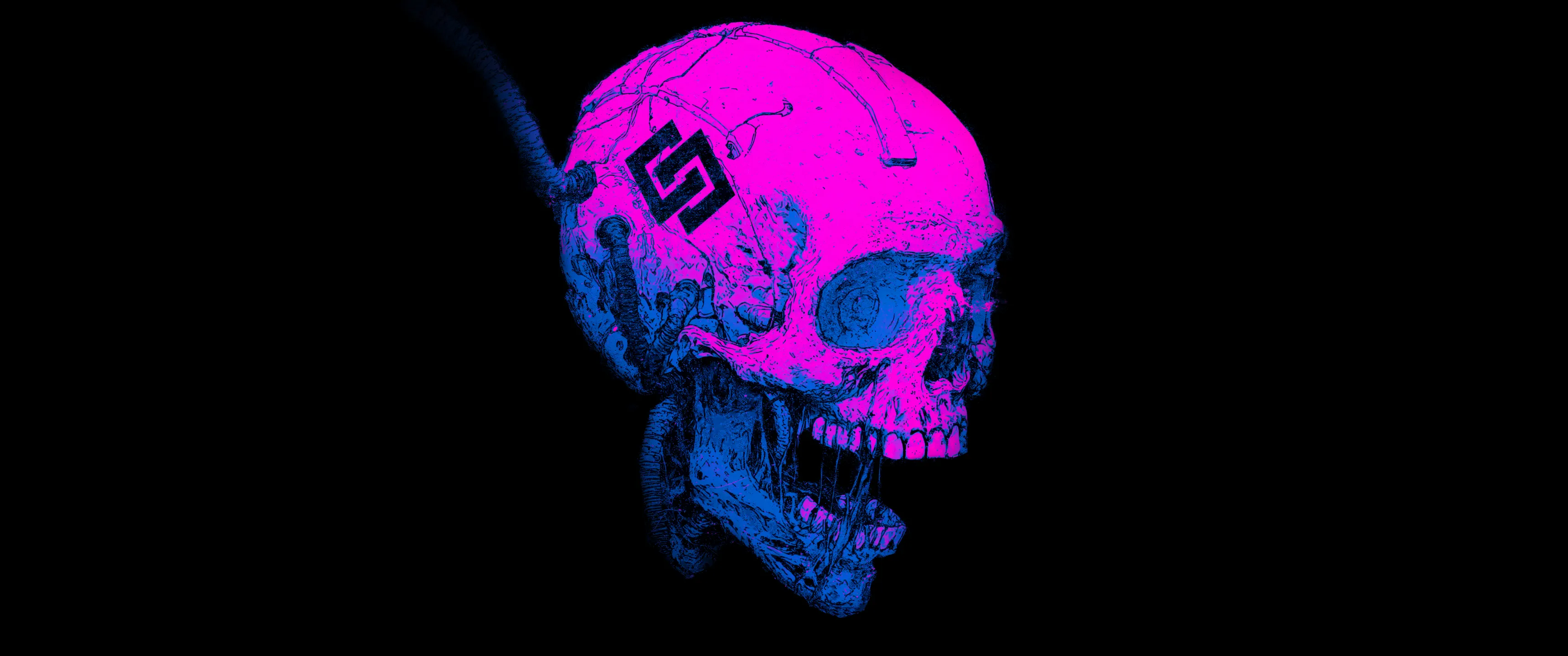 pink_and_blue_cyber_skull.jpg