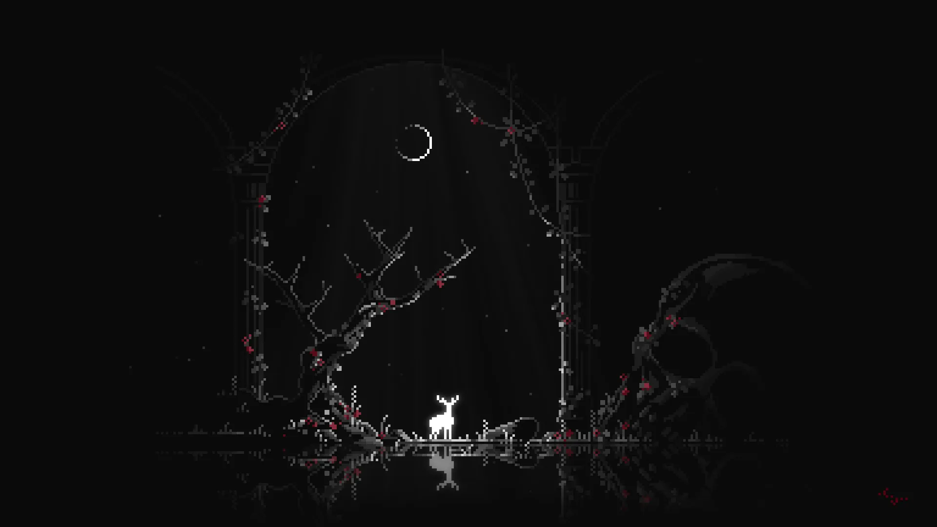 white_deer_gazing.jpg