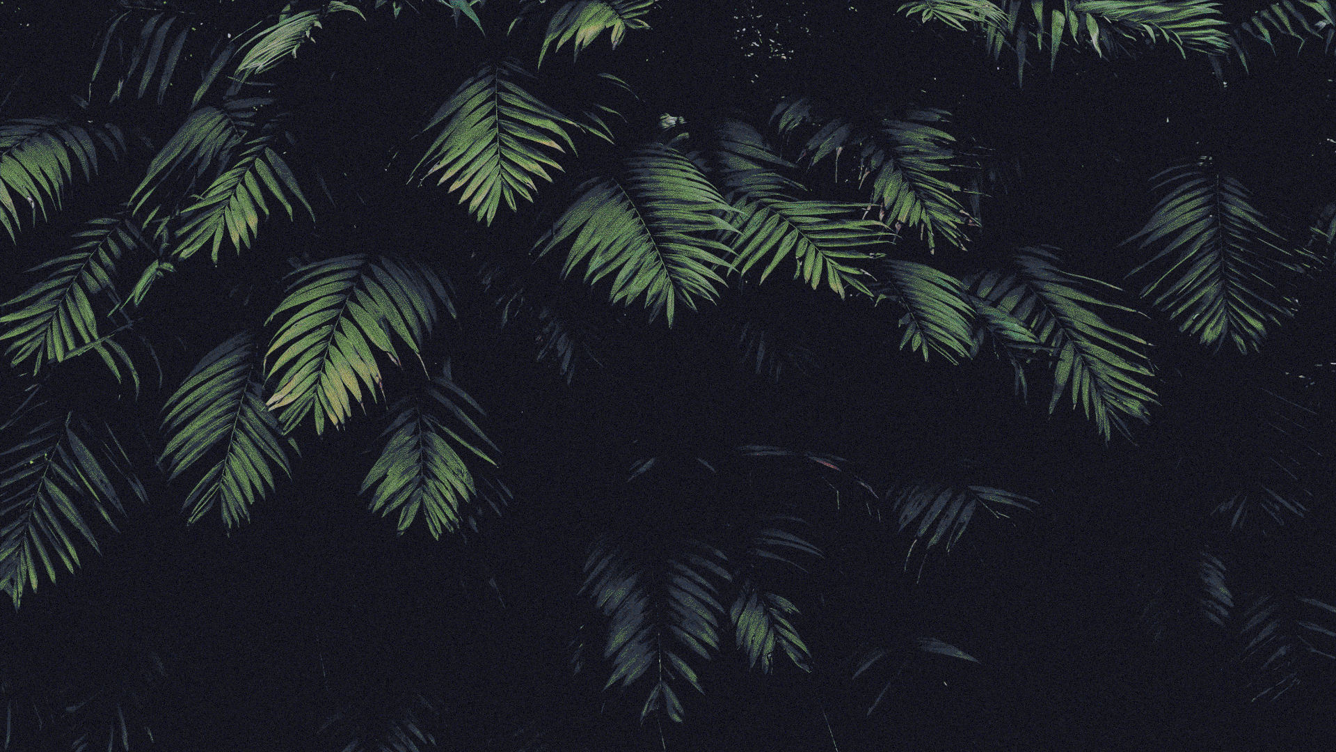 030-leaves.C3roXHlf.png